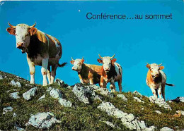 Animaux - Vaches - Carte Humoristique - Etat Pli Visible - CPM - Voir Scans Recto-Verso - Vaches