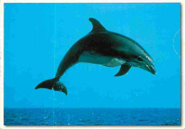 Animaux - Dauphins - CPM - Voir Scans Recto-Verso - Dolfijnen