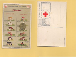 P3581 CROCE ROSSA ITALIANA III SERIE Funghi Anni '30 - Red Cross