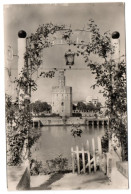 Siviglia - Torre Dell'Oro - Sevilla