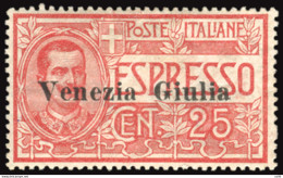 Venezia Giulia - Espresso Cent. 25 Ottimo Ben Centrato - Andere & Zonder Classificatie