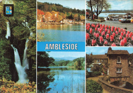 ROYAUME UNI - Angleterre - Ambleside - Waterhead - Bridge Head - Rydal Water - Stock Ghyll Falls - Carte Postale - Ambleside