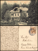 Ansichtskarte Bärenburg-Altenberg (Erzgebirge) Julius Alexander-Haus 1916 - Altenberg