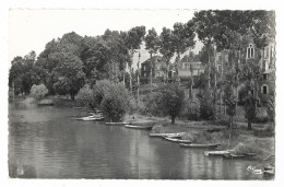 CPSM 49 SEICHES-sur-le-LOIR Les Bords Du Loir - Seiches Sur Le Loir