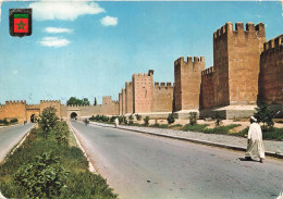 MAROC - Taroudant - Puertas De Taroudant - Portes De Taroudant - Gates Of Taroudant - Carte Postale - Sonstige & Ohne Zuordnung