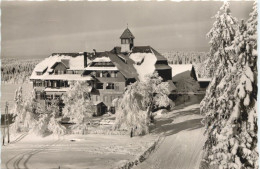 Kniebis-Lamm - Freudenstadt