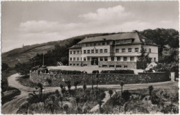 Pf. RUDESHEIM Am Rhein. Jugendherberge - Rheingau