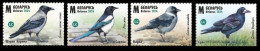 Belarus 2024 Birds Of Belarus. Сorvids. - Bielorussia