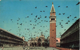 ITALIE - Venezia - Piazza S Marco - Volo Di Colombi - Carte Postale - Venezia (Venedig)