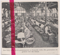 Stompwijk - Groentenzouterij - Orig. Knipsel Coupure Tijdschrift Magazine - Oorlog 1914 - 1918 - Non Classificati