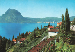 SUISSE - Castagnola - Lugano - Panorama - Vue Générale - Vue De La Mer - Carte Postale Ancienne - Lugano