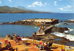 PUNTA HIDALGO - TENERIFE - Tenerife