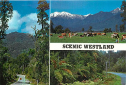 Nouvelle Zélande - New Zealand - Scenic Westland - Multivues - CPM - Voir Scans Recto-Verso - Nouvelle-Zélande