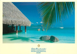 Tahiti - L'hôtel Beachcomber - Logement Les Pieds Dans L'eau - CPM - Carte Neuve - Voir Scans Recto-Verso - Tahiti