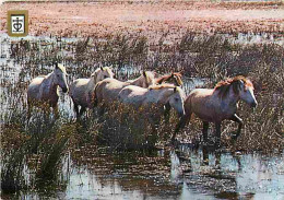 Animaux - Chevaux - Camargue - Chevaux Camarguais Dans Les étangs - CPM - Voir Scans Recto-Verso - Chevaux