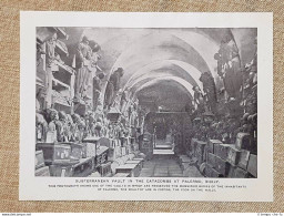 Nel 1909 Palermo Sotterraneo Delle Catacombe E Rovine Di Pompei Sud-Italia - Non Classificati