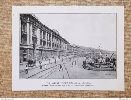 Messina Nel 1909 Via Vittorio Emanuele Sicilia - Non Classificati