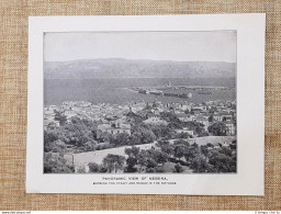 Nel 1909 Veduta Di Messina E Il Celebre Viale Delle Palme In Sicilia - Non Classificati