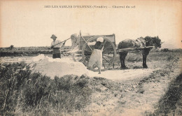 Les Sables D'olonne * Charroi Du Sel * Paludier Salt Marais Salants * Attelage Cheval - Sables D'Olonne