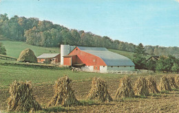 ETATS-UNIS - Rural Scene In The Wonderful World Of Ohio - Vue Générale - En Compagne - Carte Postale Ancienne - Sonstige & Ohne Zuordnung