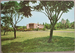 ISRAEL SHANA TOVA NEW YEAR KIBBUTZ EIN ZURIM GALILEE SEA TIBERIAS LAKE CARTE POSTALE POSTCARD CARTOLINA ANSICHTSKARTE - Israel