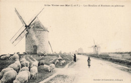 Le Vivier Sur Mer * Route , Les Moulins à Vent Et Moutons Au Pâturage * Molen Moulin - Other & Unclassified