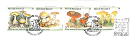 [502435]TB//O/Used-Belgique 1991 - B21, Le Carnet, Obl 1er Jour, Champignons - Mushrooms