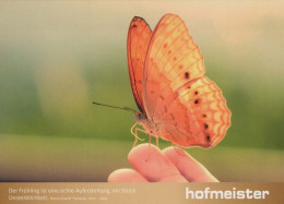 FARFALLA Animale Vintage Cartolina CPSM #PBS427.A - Mariposas