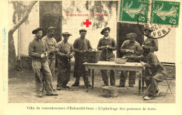 Eckmühl Oran , Algérie * Villa De Convalescence , épluchage Des Pommes De Terre * Union Femmes Françaises Croix Rouge - Oran