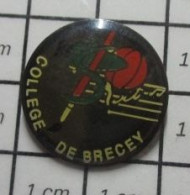613d Pin's Pins / Beau Et Rare / ADMINISTRATIONS / COLLEGE DE BRECEY - Administration