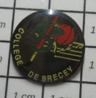 613d Pin's Pins / Beau Et Rare / ADMINISTRATIONS / COLLEGE DE BRECEY - Amministrazioni