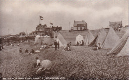 THE BEACH AND ESPLANADE SEAFORD 051 - Altri & Non Classificati