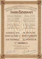 SOCIETE NEERLANDAISE DE PETROLES -ANOTO - BENZONAFT -LOT DE 2 ACTIONS DE 100 FLORINS ANNEE 1922 - Petrolio