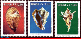 Ref. BR-1513-15 BRAZIL 1977 - SEA SHELLS, MOLLUSC,MI# 1604-06, SET MNH, MARINE LIFE 3V Sc# 1513-1515 - Ongebruikt