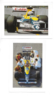 LOT 14 CPSM RENAULT FORMULE 1 * GP PORTUGAL  * RIO * AUSTRALIE * ESSAIS R 21 AU YEMEN *Crash Test * R25 Et R21 Chamade * - Grand Prix / F1