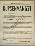 WOII - Affiche - 1942 - Brabant Rupsenvangst  (P416) - Posters