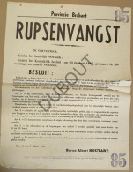WOII - Affiche - 1941 - Brabant Rupsenvangst  (P412) - Affiches