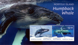 Norfolk Island / Norfolk Eiland - Postfris / MNH - Sheet Whale 2024 - Norfolk Island