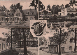 83250 - Rotta - Radis, Heidegaststätte Ochsenkopf - 1959 - Wittenberg