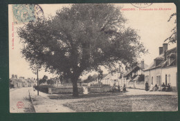 CP - 18 - Sancoins - Promenade Des Allumettes - Sancoins