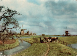 HOLlAND - Kinderdijk - Kinderdijk