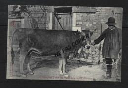 L'élevage En POITOU Vache De La Race Parthenaise   / Defaut Coin Sup Droit - Poitou-Charentes