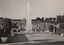 45741 - Potsdam - Sanssouci, Schloss - 1967 - Potsdam