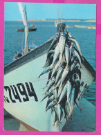 310204 / Bulgaria - Nessebar - Fishing , A Good Catch Hanging On The Bow Of The Boat 1984 PC Bulgarie Bulgarien  - Pêche