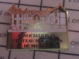 1210 Pin's Pins / Beau Et Rare / ASSOCIATIONS / ASSOCIATION DU CHATEAU DES ???? DE MUTZIG - Asociaciones