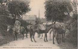 Vibraye Groupe De Mulets Destinés Au Transport Du Bois - Vibraye