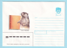 USSR 1990.0406. Marmot (Marmota Menzbieri). Prestamped Cover, Unused - 1980-91