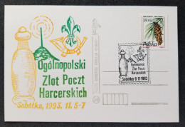 Poland Polish Scouting & Guiding Association ZHP 1993 Scout (FDC) *card - Brieven En Documenten