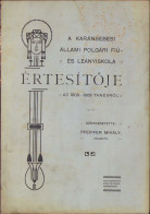 A Karánsebesi állami Polgári Fiú és Leányiskola értésitője Az 1908-1909 Tanévről C1023 - Libri Vecchi E Da Collezione