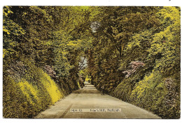 Postcard UK England Suffolk Hadleigh Friar's Hill Long Wooded Path Published Frith Posted 1973 - Other & Unclassified